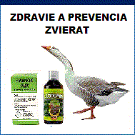 zdravie a kondícia